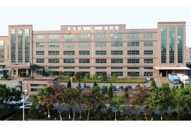 大陸廠